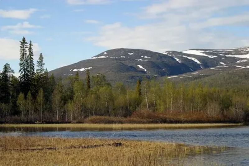 Лапландский заповедник.
